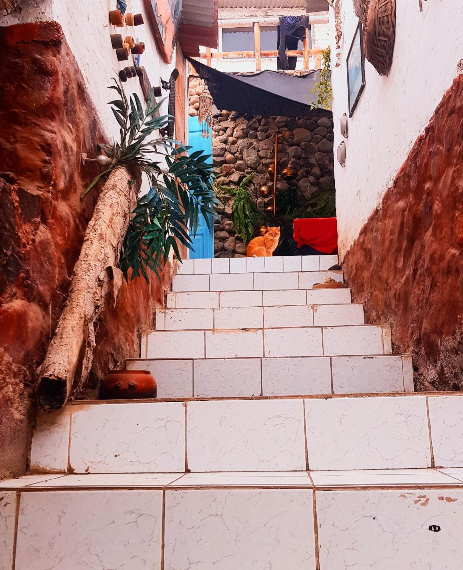 Huanchaco Surf Camp Apartamento Exterior foto